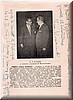 Concerto diretto da Stanislav Skrowacewski a Zagabria il 28 Gennaio 1956 (3)